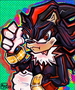 Shadow the hedgehog